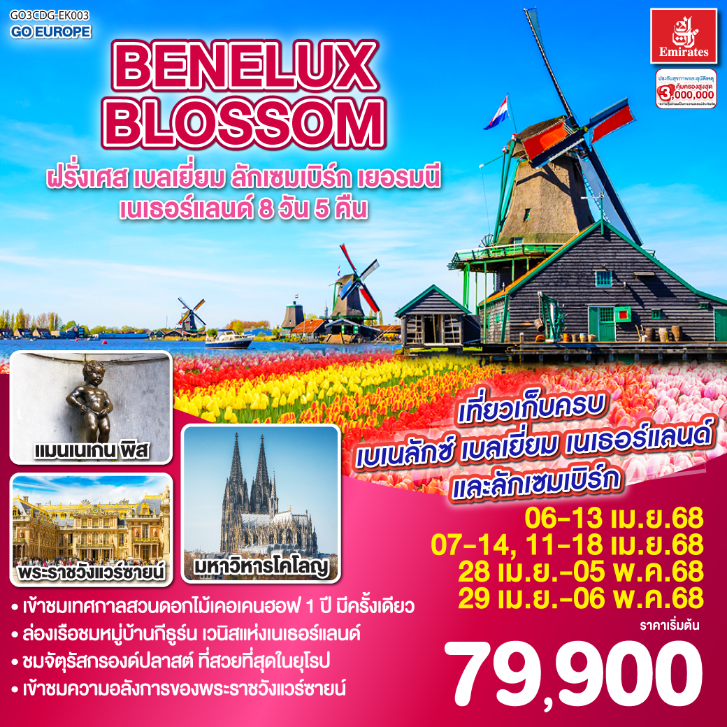 ทัวร์ฝรั่งเศส เบลเยี่ยม ลักเซมเบิร์ก เยอรมนี เนเธอร์แลนด์ 8วัน 5คืน (EK)